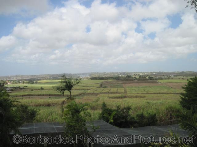 Farm lands as viewed from Orchid World Barbados.jpg
