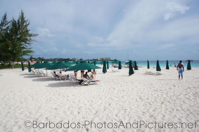 Green umbrellas at Carlisle Bay Beach in Bridgetown Barbados.jpg

