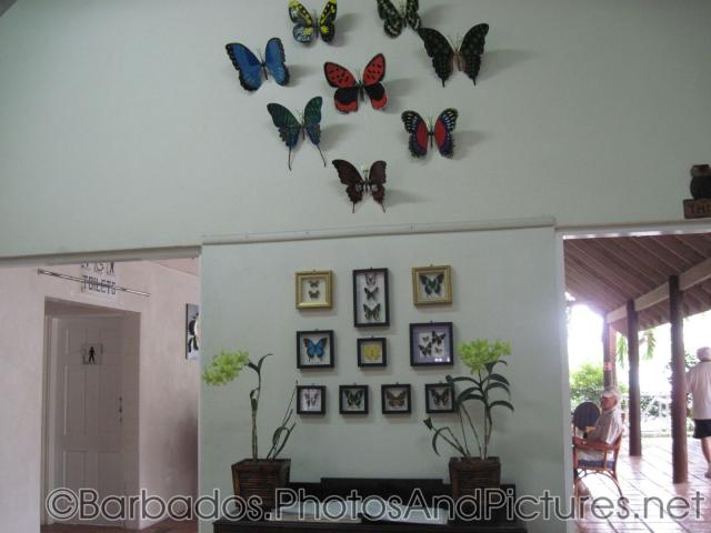 Butterfly decor at Orchid World in Barbados.jpg
