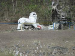 White Lion statue in Barbados.jpg