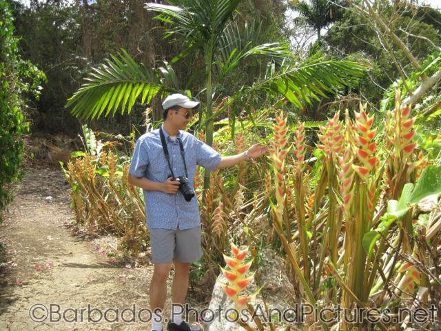 David examines some interesting flowers at Orchid World Barbados.jpg
