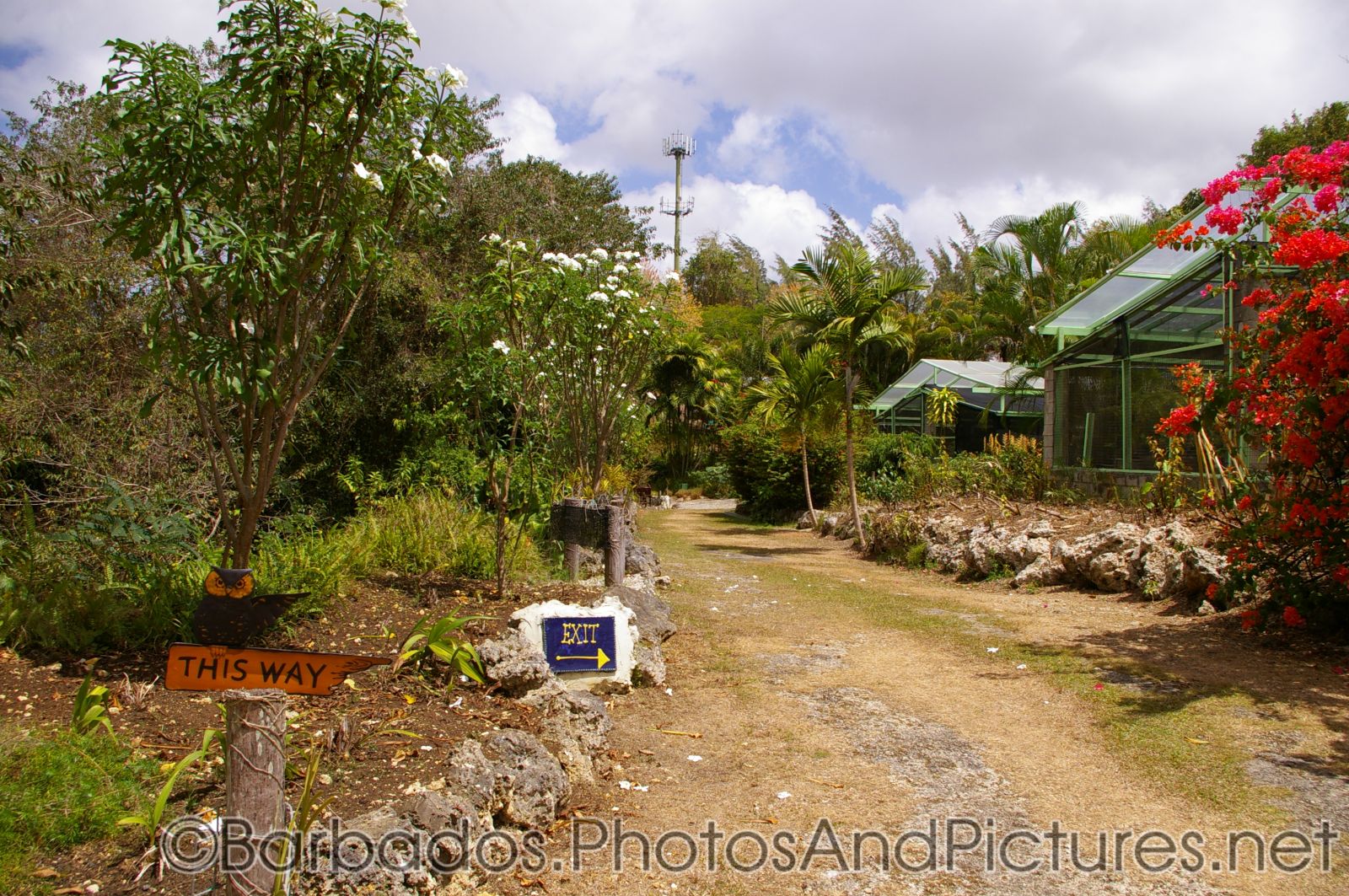 Exit walk path at Orchid World Barbados.jpg
