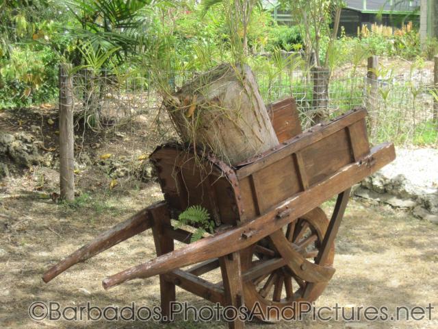 Wooden cart at Orchid World Barbados.jpg