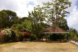 Pavillion next to wall of flowers at Orchid World Barbados.jpg
