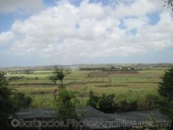 Farm lands as viewed from Orchid World Barbados.jpg