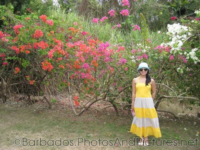 Joan next to orange pink red and white flowers at Orchid World Barbados.jpg
