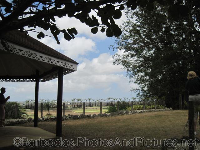 Pavillion with palm plants at Orchid World Barbados.jpg