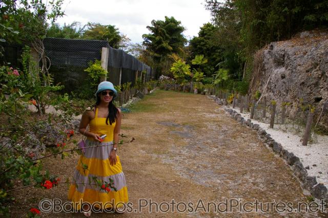 Joann at Orchid World Barbados.jpg
