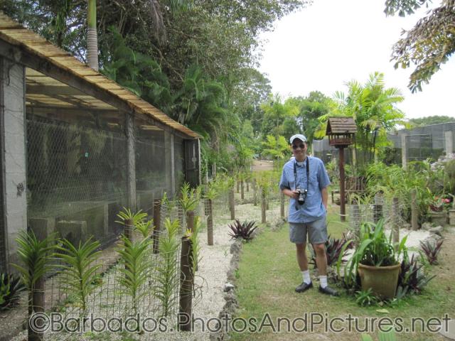 David at orchid farm at Orchid World Barbados.jpg
