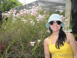 Joann next to Papilionanthe Teres at Orchid World Barbados.jpg
