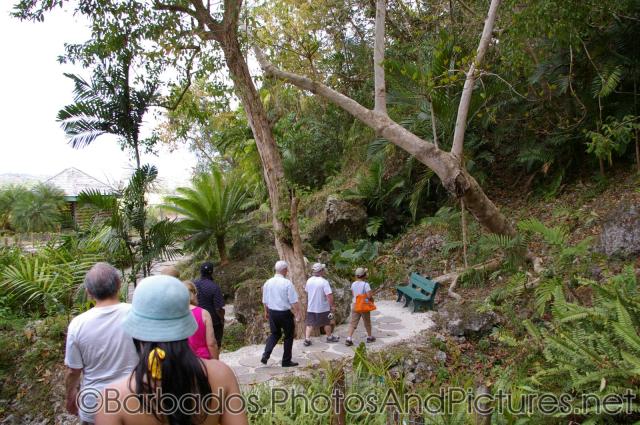 Walking down a path at Orchid World in Barbados.jpg