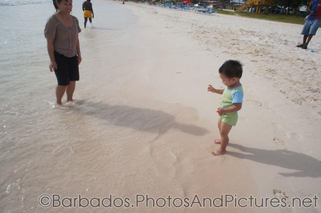 Darwin standing in the sand himself at Carlisle Bay Beach in Bridgetown Barbados.jpg
