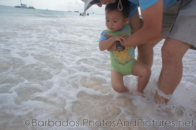 Darwin dips feet into waters at Carlisle Bay Beach in Bridgetown Barbados.jpg
