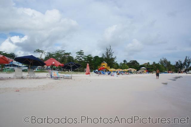 Beach chairs and umbrellas at Carlisle Bay Beach in Bridgetown Barbados.jpg