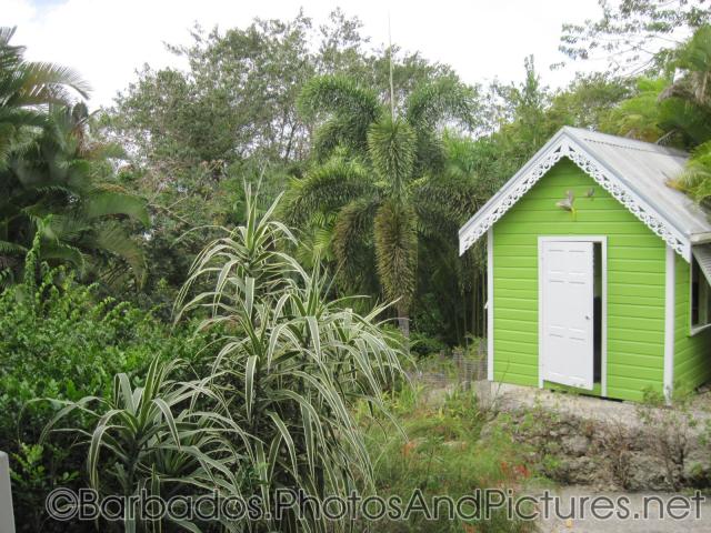 Little green shack amongst plants at Orchid World in Barbados.jpg

