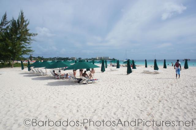 Green umbrellas at Carlisle Bay Beach in Bridgetown Barbados.jpg