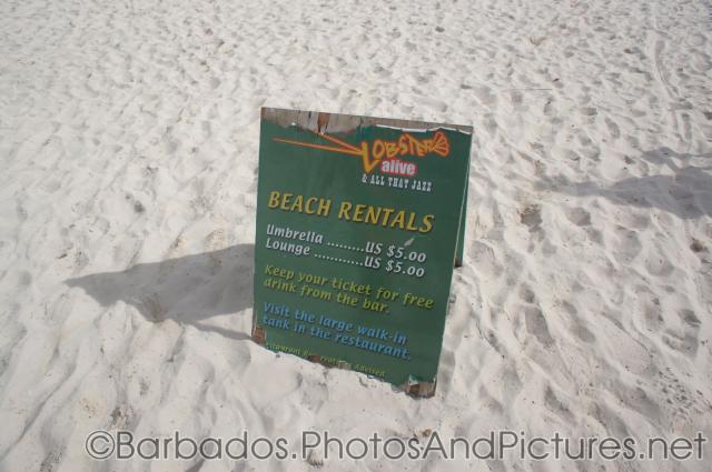 Beach Rental prices for Carlisle Bay Beach in Bridgetown Barbados.jpg
