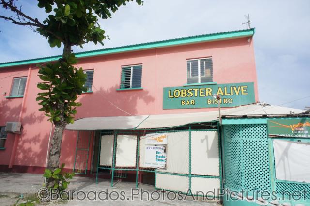 Lobster Alive Bar Bistro at Carlisle Bay Beach in Bridgetown Barbados.jpg