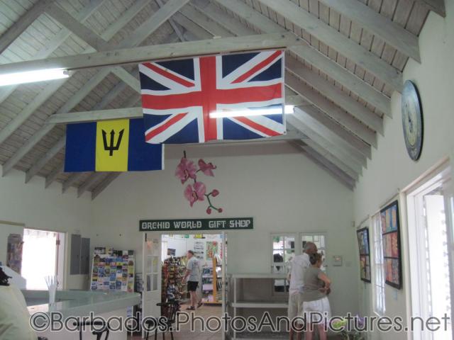 UK Flag and Barbados flag at Orchid World Gift Shop in Barbados.jpg
