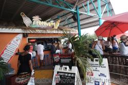 Coconuts Bar & Grill at the Cruise Port Terminal in Bridgetown Barbados.jpg