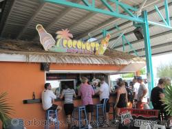 Coconuts Bar & Grill at Bridgetown Cruise Terminal in Barbados.jpg