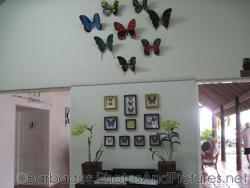 Butterfly decor at Orchid World in Barbados.jpg