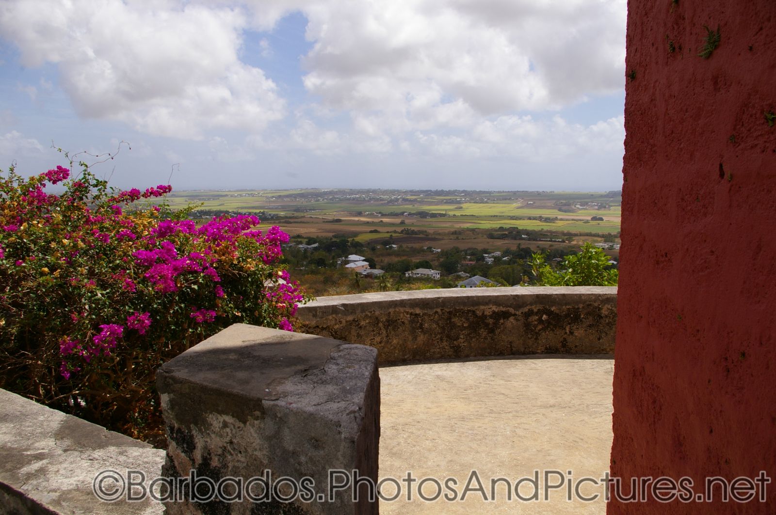 Landing area with pink flowers and nice view at Gun Hill Signal Station in Barbados.jpg
