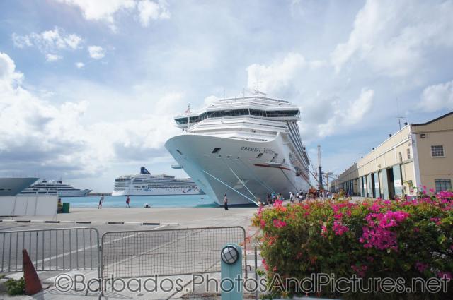 Carnival Victory docked at Bridgetown Barbados.jpg