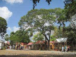 Cottages and large trees at Tyrol Cot in Barbados.jpg