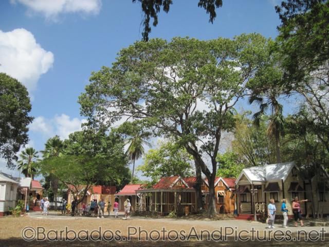 Cottages and large trees at Tyrol Cot in Barbados.jpg
