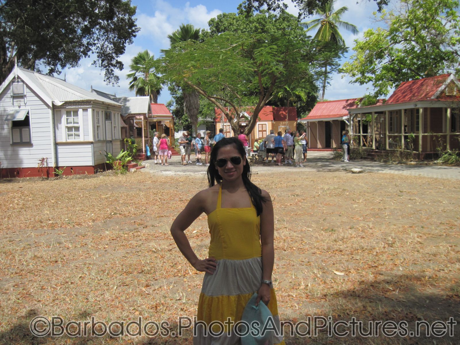 Joann at Tyrol Cot in Barbados.jpg
