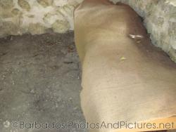 Bed in small cottage at Tyrol Cot in Barbados.jpg